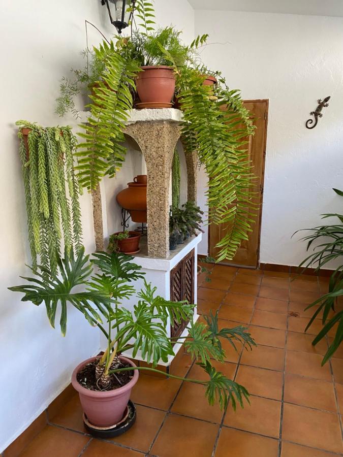 Вилла Casa En Mogan Las Burrillas Экстерьер фото